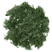 Dark green moss 30g