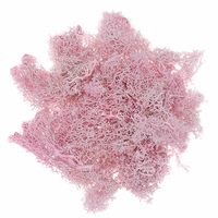 Pink moss 30g