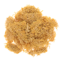 Ochre moss 30g