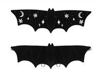 Costume - wings of a bat