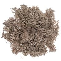 Brown moss 30g